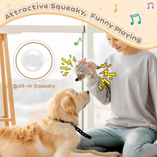 Pawaboo Plüschspielzeug für Hunde, Igel Plüsch Hundespielzeug Interaktiv Hundspielzeug mit Quietscher, Ungiftig Ultra Weich Robust für Hunde Katzen Beißen Spielen Training, M Size für kleine Hunde