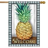 Checkered Pineapple Everyday Spring House Flag 40' x 28' Briarwood Lane