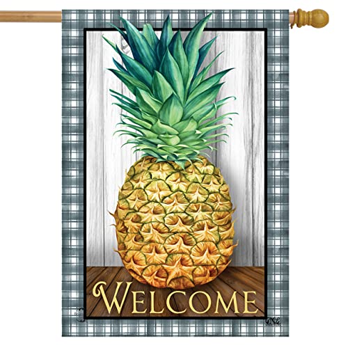 Checkered Pineapple Everyday House Flag Welcome 28" X 40" Briarwood Lane #TOP13
