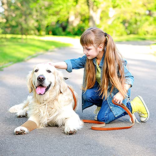 Self Adhesive Bandage Wrap 4 Inches X 5 Yards, 12 Pack Of Pet Vet Wrap Cohesive Tape For First Aid, Sports, Horses, Dogs (Beige) #TOP6