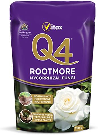Q4 Rootmore 250g