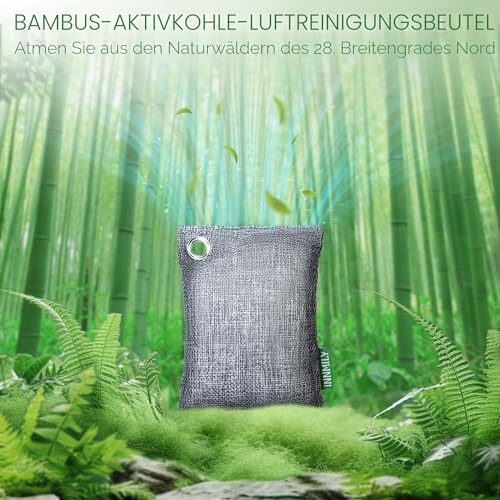 Aktivkohle-Geruchsabsorber, Geruchsbeseitiger für starken Geruch, Bambuskohle, Luftreinigungsbeutel für Zuhause, Auto, Schrank, Haustier, Rauchraum-Deodorierer (10 x 100 g, für starken