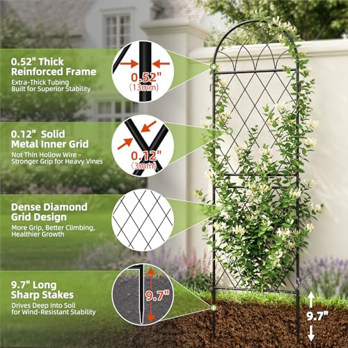 ArdeFentium 2 Pack 70.8" X 19.7" Metal Garden Trellis for Climbing Plants Outdoor - Rustproof Heavy Duty Arched Trellis - Decorative Rose Plant Support Trellis for Roses,Vines,Vegetables,Flowers,Black by ArdeFentium - Used condition - Image 4