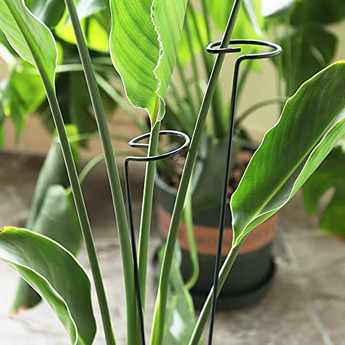 Ndswkr 20 Pack Single Stem Support Stake, 15.8 Inch Stainless Steel Plant Stakes For Flowers, Plant Support Stake For Garden Orchid Peony Lily Rose Amaryllis Tomato Vegetable #TOP4