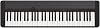 CT-S1BK Casiotone Piano-Keyboard & M-Audio SP-2 - Universal Sustain Pedal with Piano Style Action, The Ideal Accessory for MIDI Keyboards, Digital Pianos, Electronic Keyboards & More