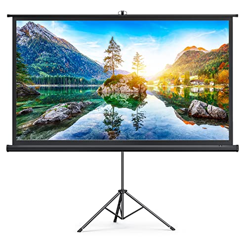 Using Projector Without Screen Projector Screen vs Wall