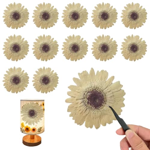 Flores secas blancas grandes para manualidades en resina miniatura 1