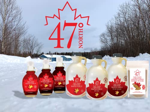 47° North Single Source Canadian Organic Maple Sugar (1x 10lb/ 4.54kg) - Image 6