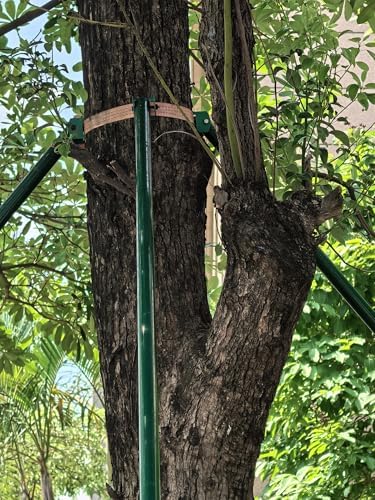 Heavy-Duty Outdoor Metal Tree Support Posts - 3ft to 10ft, Windproof Anti-Toppling Stakes with Frame Fixer Cup for Hurricane Protection - Durable Plant Support Kit (2.5m/8.2ft)