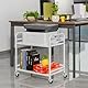 HDANI Druckertisch2 Ebenen,Küchenregal,Mikrowellen Regal,Druckerständer mit verstellbaren Füßen und arretierbaren Rädern,Druckerwagen,Industrie-Design,60×35×61cm,für Büro Wohnzimmer Küche,Weiß