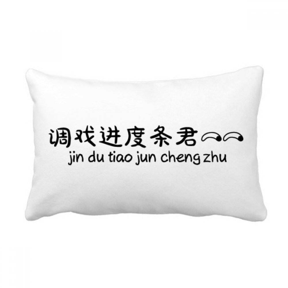 Coussin lombaire chinois 40x60 cm oreiller de canapé multicolore pour décoration de salon moderne