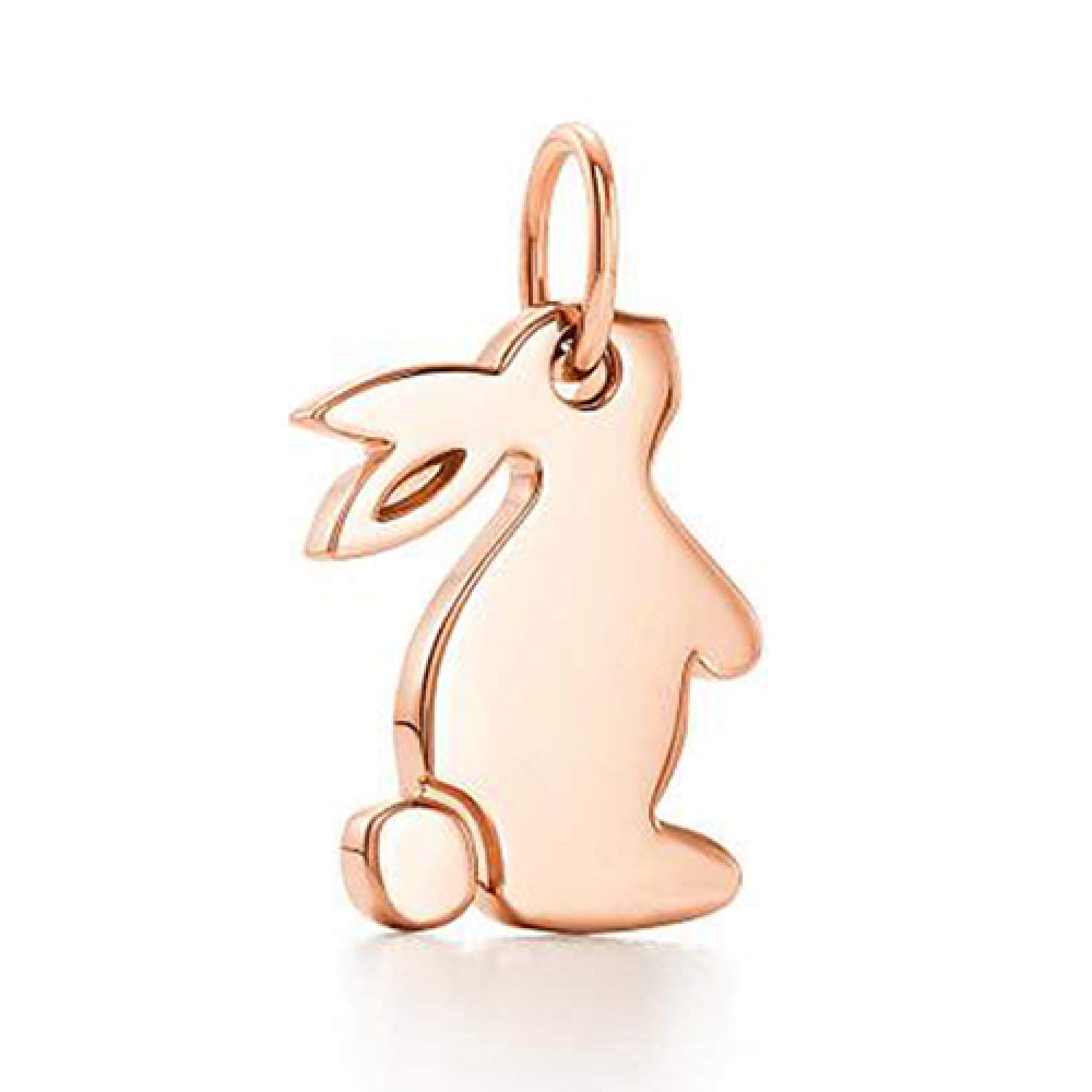 CGCSYZ 925 Sterling Silver Charm Rose Gold Pink Ladybird Charm Fit Bracelet Beads for Jewelry Making (PY1383)