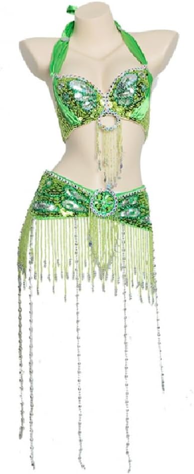 Belly Dance Outfit for Women Belly Dancer Costumes Belly Dancing Performance Dresses Belly Bra and Belt 2 Piece Set
