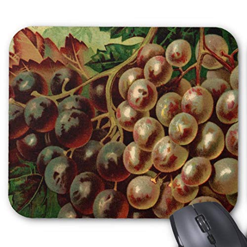Preisvergleich Produktbild Mauspad mit seidenweicher Textiloberflche - Mouse Pad Paradise (antistatische Wirkung - perfekte Gleiteigenschaft PC / Computer Mousepad)-Alden Obst Essig Trauben postcard