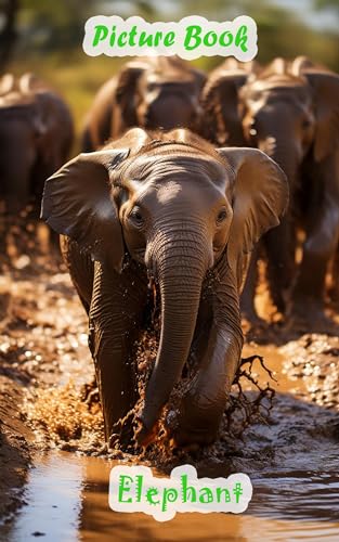 The Majestic Herd: Elephant Adventures: A Visual Journey into the Lives of Elephants, Exploring Their World
