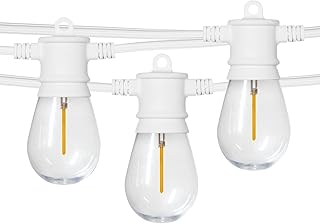 Sponsored Ad - SUNTHIN Outdoor White String Lights, 48ft Patio String Lights White Cord with 16 1W Shatterproof LED Bulbs ...