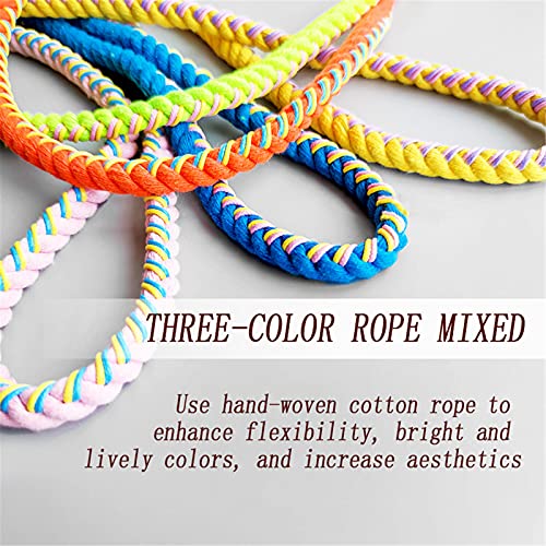 Guinzaglio per cani Addestramento Lunghina Cane