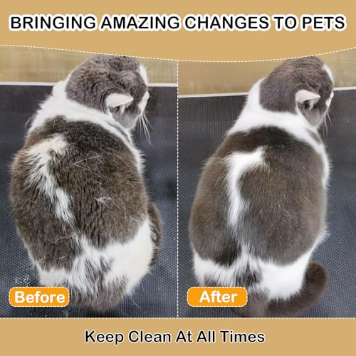 Image of Steam Brush 4 in 1 for Shedding, iRboWou Rechargeable Cat Brush with Steam, Anti-Static Pet Brush for Massage, Cleaning, Shedding and Combing- White