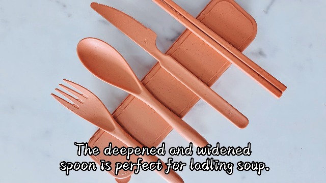 Amazon.com | Zoyiancy 4 Sets Cutlery Set, Reusable Spoon Knife