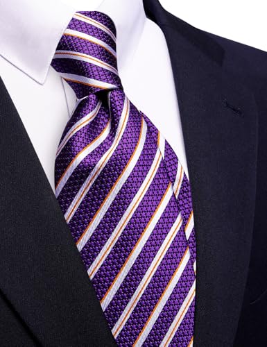 Image of Barry.Wang Silk Men Ties Formal Stripes Necktie and Tie Clip for Wedding Party Business Fashion Classic