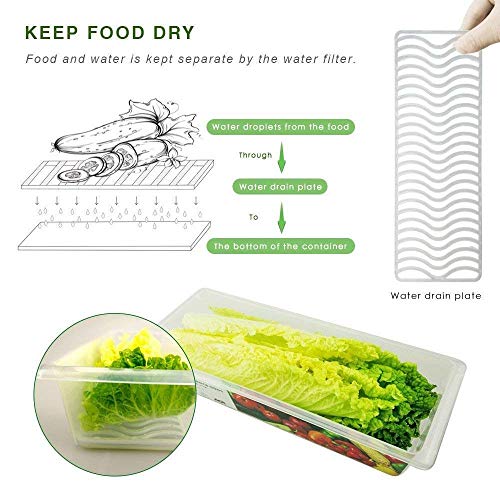 Image of Stewit Food Storage Container with Removable Drain Plate and Lid, 1500ml Clear Plastic Produce Keeper and Fridge Organizer Box for Fresh Meat, Fruits, and Vegetables (Pack Of 2, 1500 ML)