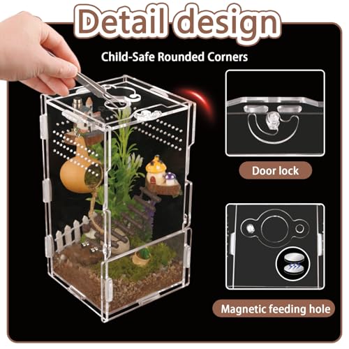 Image of Jumping Spider Enclosure Acrylic Terrarium 8x4x4 | Crystal clear 360 acrylic viewing