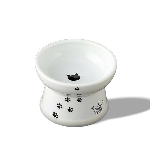 Necoichi Raised Cat Food Bowl – Ceramic Elevated Cat Bowl