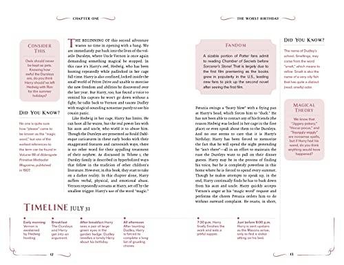 The Unofficial Harry Potter Companion Volume 2: Chamber of Secrets: An in-depth exploration (Harry Potter, 2) - Image 2