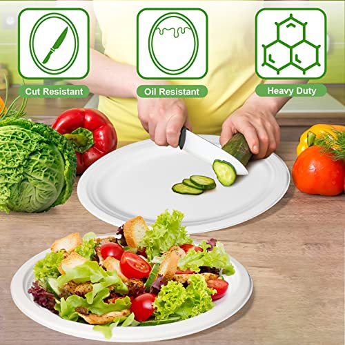 Oval Paper Plates White, 12 Inch Large Paper Plates, 100% Compostable Paper Plates Eco Friendly Disposable Plates, Oval Paper Plates Heavy Duty, 9.5 X 7 Inch Inside, 60 Pack #TOP1