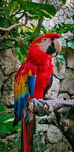 Kit 6 Quebra-Cabeça Cognitivo Reabilitação para Idosos - Araras -...