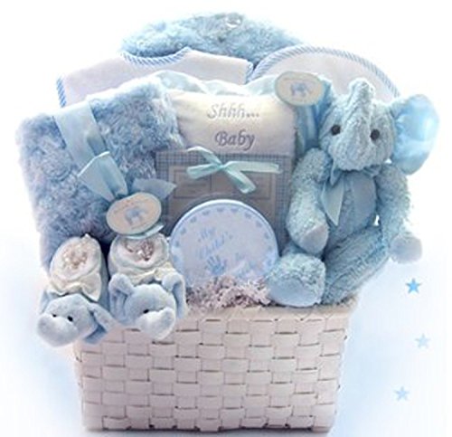 california delicious noah's ark arrival baby gift basket