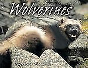 Library Binding Wolverines (Animal Scavengers) Book