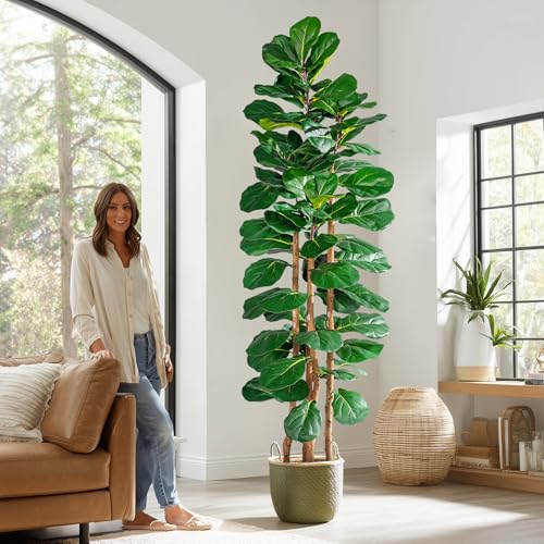Tall Fake Fiddle Leaf