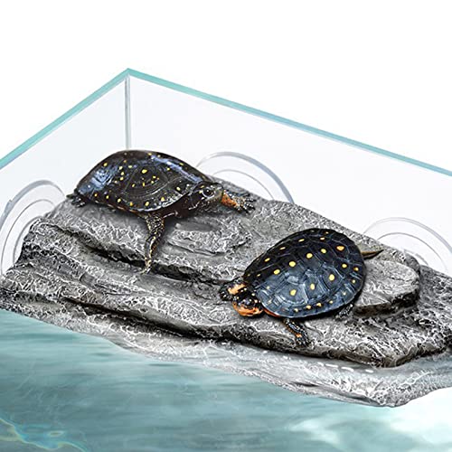 Plateforme tortue ventouse réglable à forte adhérence pour réservoir - 8