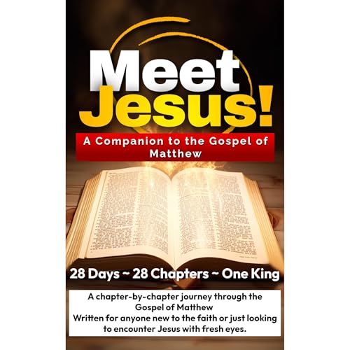Meet Jesus Audiobook By W.G. Davis cover art