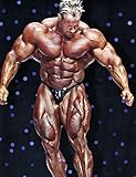 Jay Cutler Poster Print, Fairytale Hero, Posters for Wall, ArtWork, Images, Bodybuilder Decor, SIZE 24x32 Inches