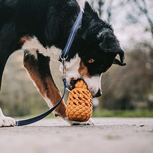 Sprenger Hundespielzeug Ananas Lernspielzeug mit Leckerlies Versteck I Kauspielzeug