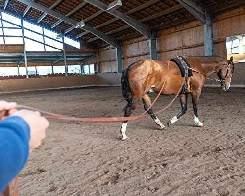 Foto von bio-leine Doppellonge aus BioThane - 16 bis 18m lang I 16mm breit - Longe Longierleine für Pferde I Pferdelonge für Reitsport I in 15 Farben