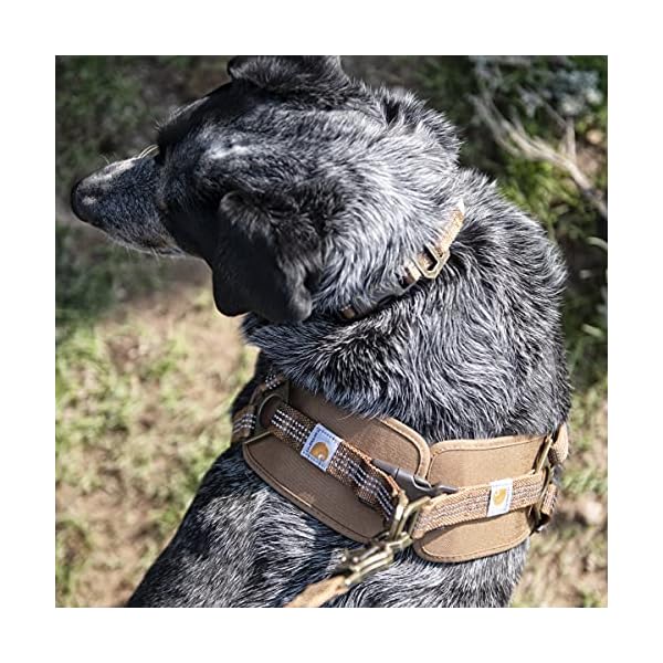Carhartt Nylon Duck Training Dog Harness, Carhartt Brown, Large