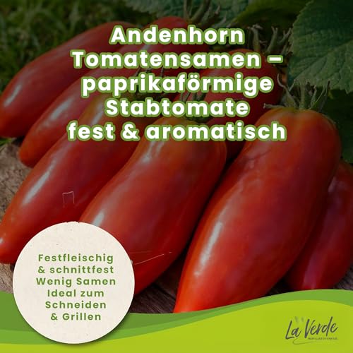 La Verde MEIN GARTEN UND ICH. Andenhorn Tomatensamen für ca. 10 Pflanzen, aromatische Fleischtomate, Saatgut ohne Gentechnik