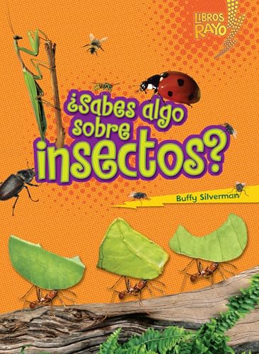 ¿Sabes algo sobre insectos? (Do You Know about Insects?) (Libros Rayo ― Conoce los grupos de animales (Lightning Bolt Books ® ― Meet the Animal Groups)) (Spanish Edition)