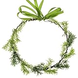 Love Sweety Greenery Flower Headband BOHO Leaf Hair Wreath Bridal Wedding Headpiece Maternity Floral Crown(Pine White)