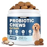 SnazFirst Probiotics for Dogs, Dog Probiotics Chews for Digestive Health & Gut Health, Improve Immune System,Constipation & Diarrhea Relief(Chicken Flavor, 250 Chews)