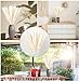 DongArts Natural Dried Pampas Grass, Phragmites Communis,Wedding Flower Bunch, 23” Tall for Home Decor ( White )