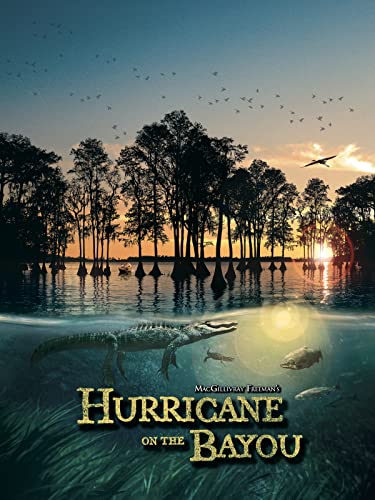 Hurricane on the Bayou