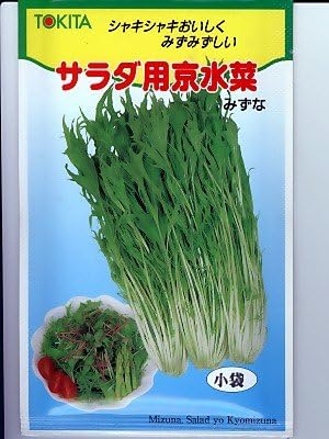 Amazon サラダ用京水菜 トキタのミズナ種です 野菜