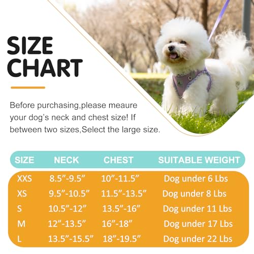 Dog Harness and Leash Set,Step-in Air Dog Vest, Reflective, No Pull Collarsfor Small, Medium Dogs, Cats - Secure with Hook & Loop Fastener, Buckle, Double D-Ring - Image 5
