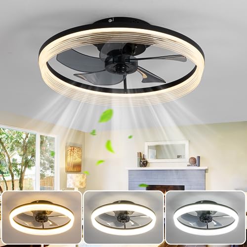 CANEOE Deckenventilator mit Beleuchtung, Dimmbare LED Deckenleuchte mit Ventilator, 30W Moderner Deckenventilator mit Beleuchtung und Fernbedienung Leise für Schlafzimmer Küche Esszimmer-Schwarz