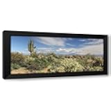 ArtDirect Desert Panorama 2 Custom Framed Art Print Giclee Print or Canvas Options with Various Sizes and Customization by Goldwitz, Robert