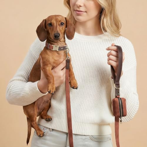 Image of Didog PU Leather Dog Collar for Small Dogs Puppy, Soft Lining, Brown S